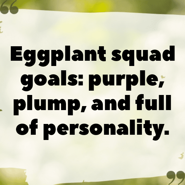 Eggplant Captions Photo For Instagram-EjIqy9