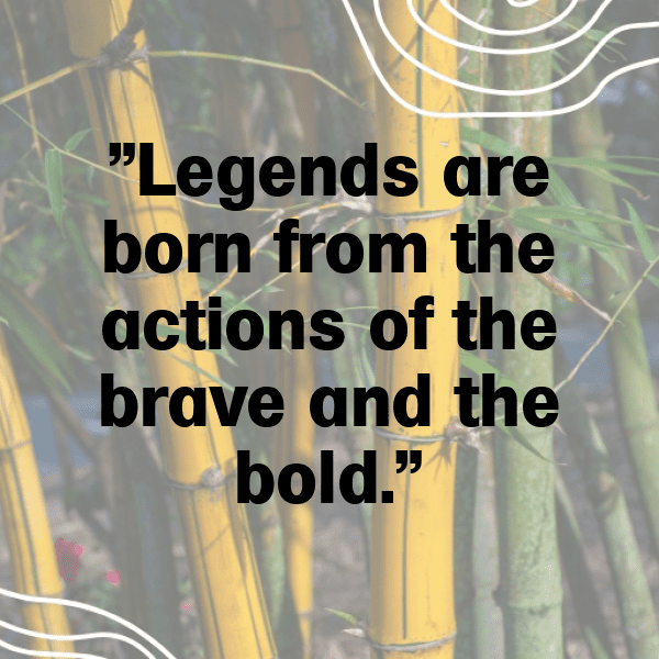 272+ Elder Scrolls Captions for Instagram (Fresh & Trendy) 6 Elder Scrolls Captions Photo for Instagram-qllByW