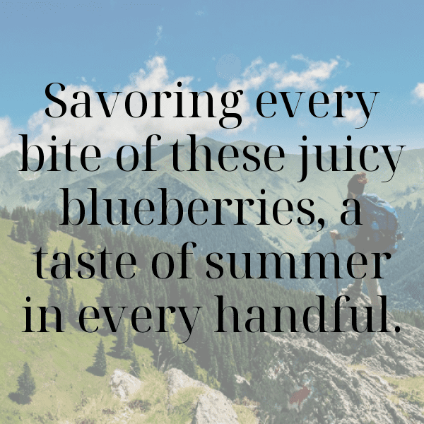 Elderberry Captions Image For Instagram-waXzQu