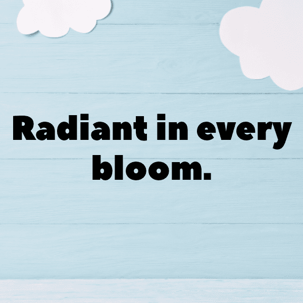 Elderflower Captions Image For Instagram-OMZDjD