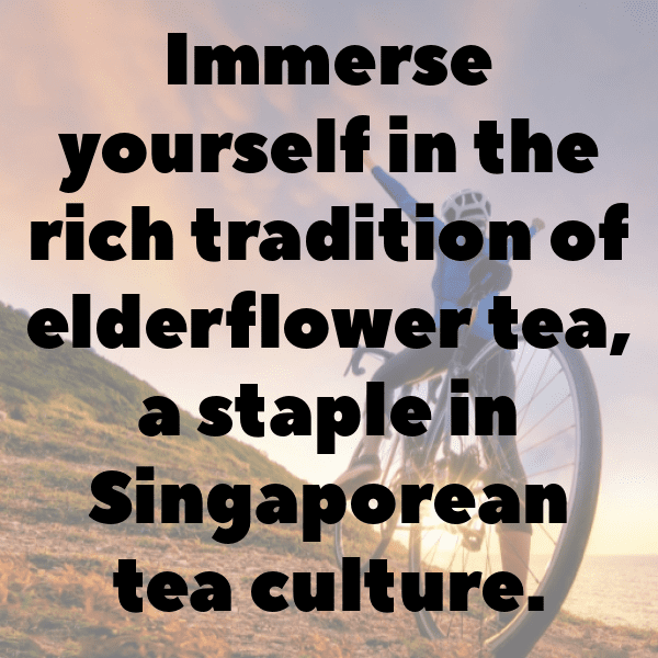 Elderflower Captions Photo For Instagram-HfRdKM