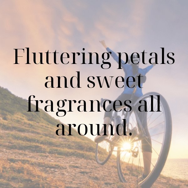 Elderflower Captions Photo For Instagram-iT9bMo