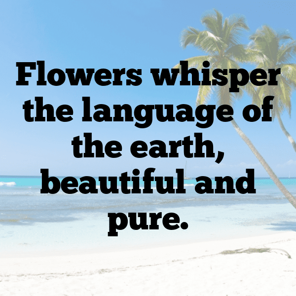 Elderflower Captions Photo For Instagram-JhuiUZ