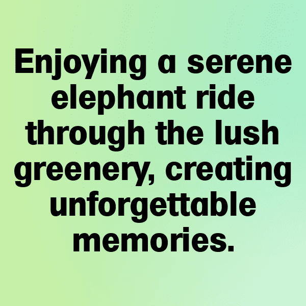 266+ Elephant Captions For Instagram (Trending, Funny & Top) 7 Elephant Captions Image For Instagram-1lV6TY