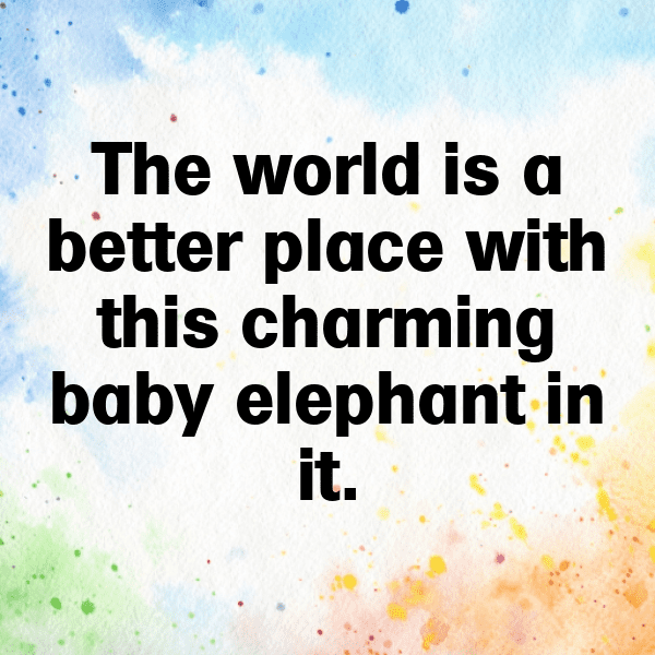 266+ Elephant Captions For Instagram (Trending, Funny & Top) 11 Elephant Captions Image For Instagram-2bSmIP