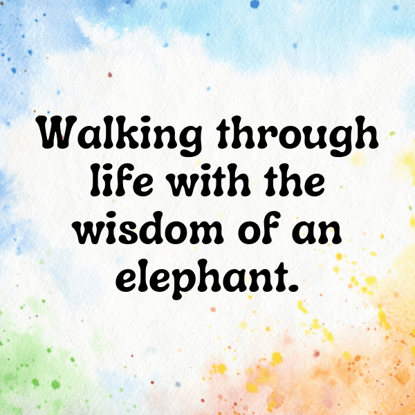 266+ Elephant Captions For Instagram (Trending, Funny & Top) 5 Elephant Captions Image For Instagram-Fae6UD