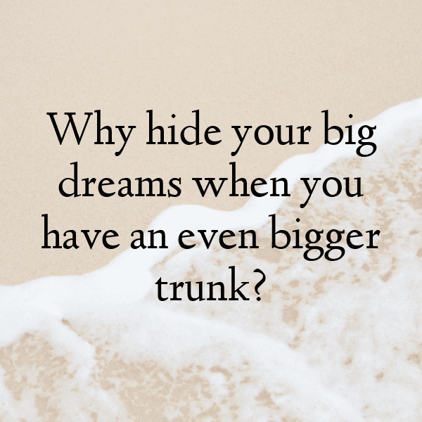 266+ Elephant Captions For Instagram (Trending, Funny & Top) 8 Elephant Captions Image For Instagram-uXuoCf