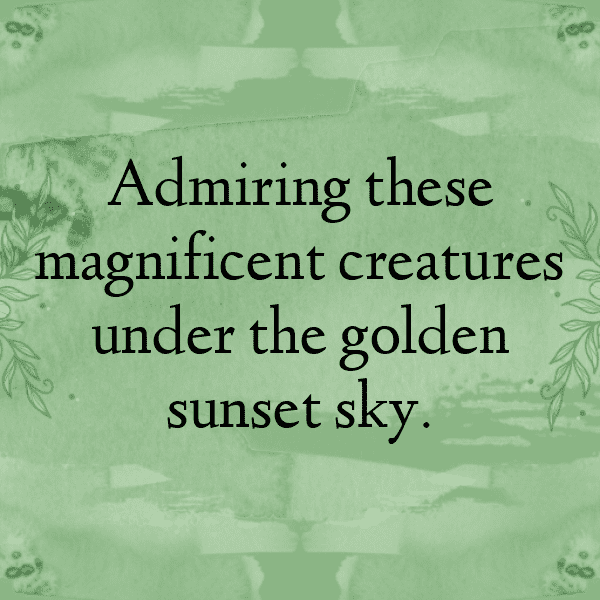 266+ Elephant Captions For Instagram (Trending, Funny & Top) 16 Elephant Captions Photo For Instagram-4lUazd