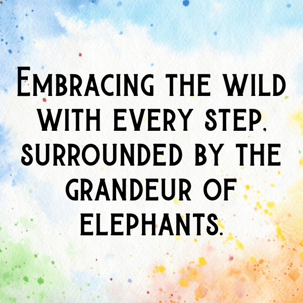 266+ Elephant Captions For Instagram (Trending, Funny & Top) 18 Elephant Captions Photo For Instagram-d0MoxX