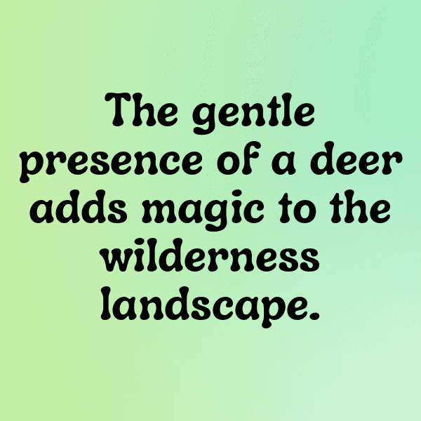 347+ Elk Captions For Instagram In 2025 8 Elk Captions Image For Instagram-5vnVBv