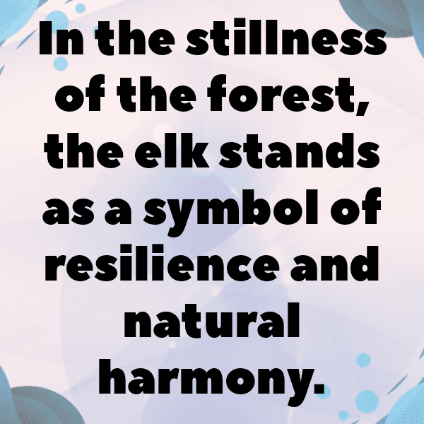 347+ Elk Captions For Instagram In 2025 13 Elk Captions Image For Instagram-SAdSUY