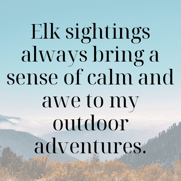 347+ Elk Captions For Instagram In 2025 3 Elk Captions Image For Instagram-Teq61J