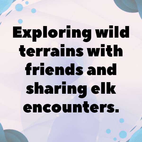 347+ Elk Captions For Instagram In 2025 4 Elk Captions Photo For Instagram-6Wdz1H