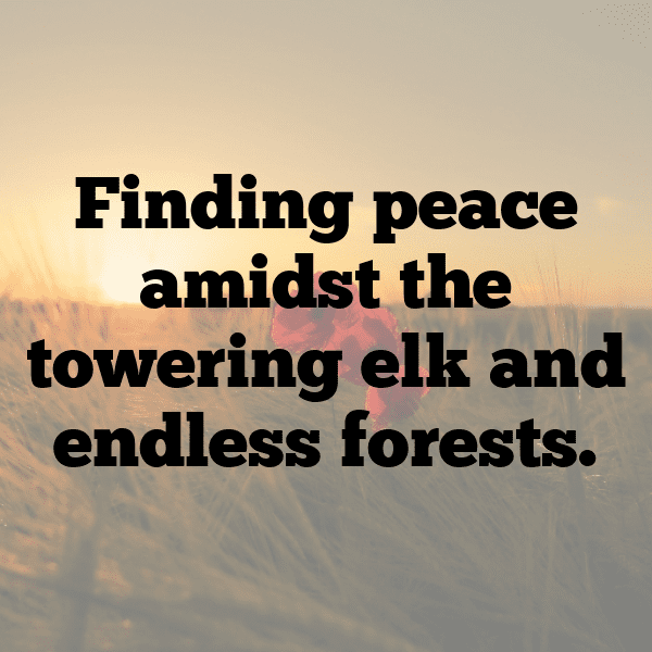 347+ Elk Captions For Instagram In 2025 12 Elk Captions Photo For Instagram-vHdSGk