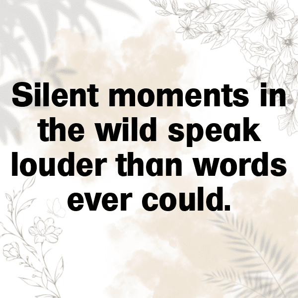 347+ Elk Captions For Instagram In 2025 7 Elk Captions Photo For Instagram-XwMceU