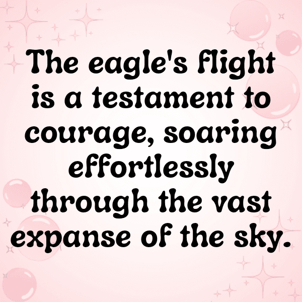 313+ Emu Captions For Instagram (Best, Funny & Short) 8 Emu Captions Image For Instagram-DyE46E