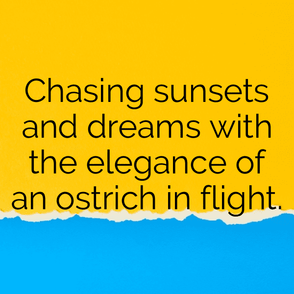 313+ Emu Captions For Instagram (Best, Funny & Short) 14 Emu Captions Image For Instagram-PCdmKL