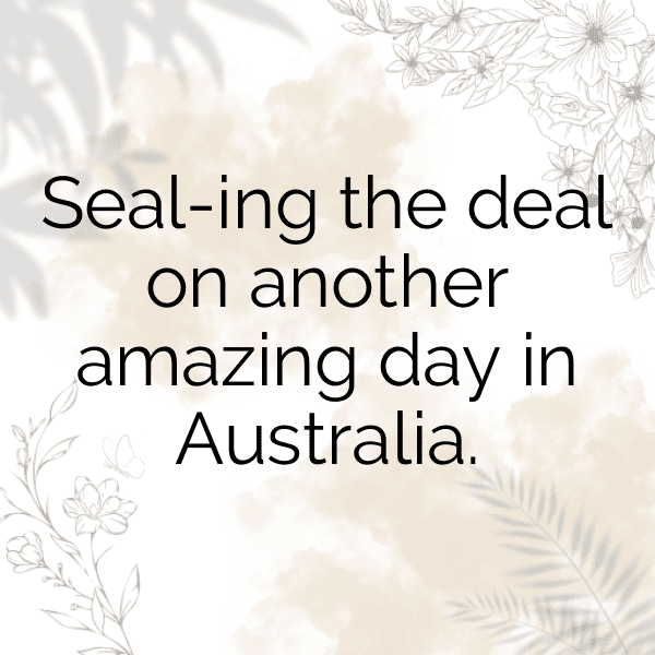 313+ Emu Captions For Instagram (Best, Funny & Short) 3 Emu Captions Image For Instagram-YIc28q