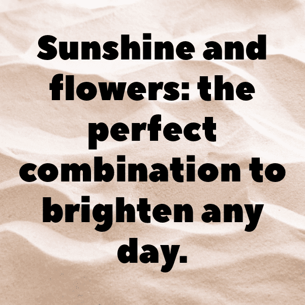 260+ Endive Captions For Instagram (Short, Trending & Viral) 10 Endive Captions Image For Instagram-3WdceG