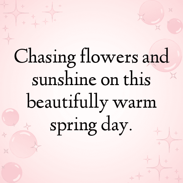 260+ Endive Captions For Instagram (Short, Trending & Viral) 8 Endive Captions Image For Instagram-eSlFwW