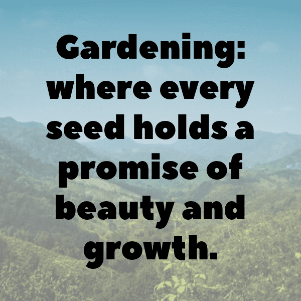 260+ Endive Captions For Instagram (Short, Trending & Viral) 7 Endive Captions Image For Instagram-JkvihL