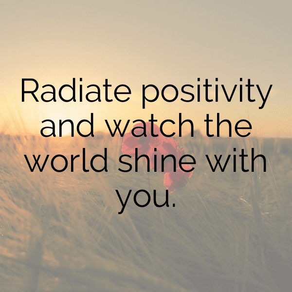 260+ Endive Captions For Instagram (Short, Trending & Viral) 6 Endive Captions Photo For Instagram-0MO1ZY