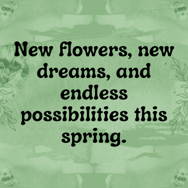 260+ Endive Captions For Instagram (Short, Trending & Viral) 9 Endive Captions Photo For Instagram-gm3Bbo