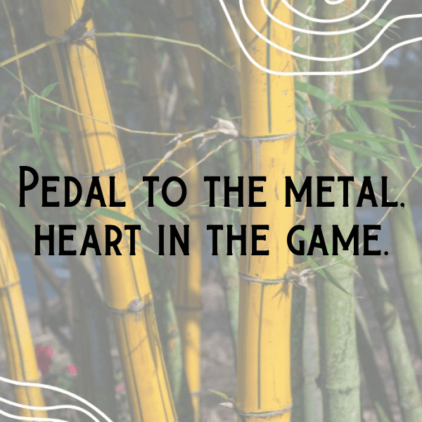 Endurance Racing Captions Image for Instagram-FrpSJX