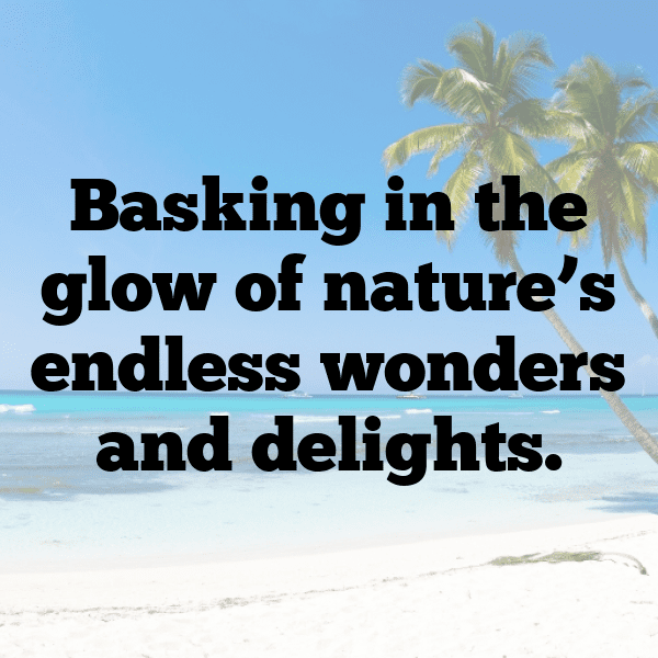 Enset Captions Photo For Instagram-7FK6ln