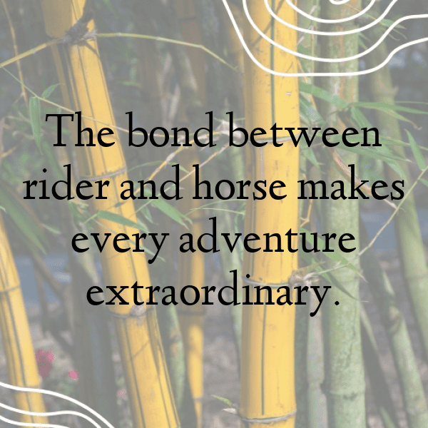 Equestrian Captions Image for Instagram-sAqRYL