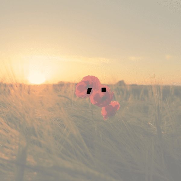 Equestrian Captions Photo for Instagram-Dybr7n