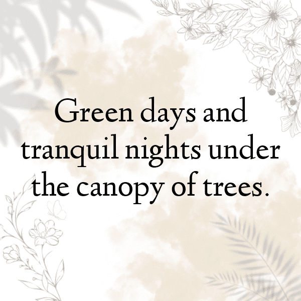 286+ Eruca Captions For Instagram (Trending, Funny & Top) 10 Eruca Captions Image For Instagram-YfKPYc