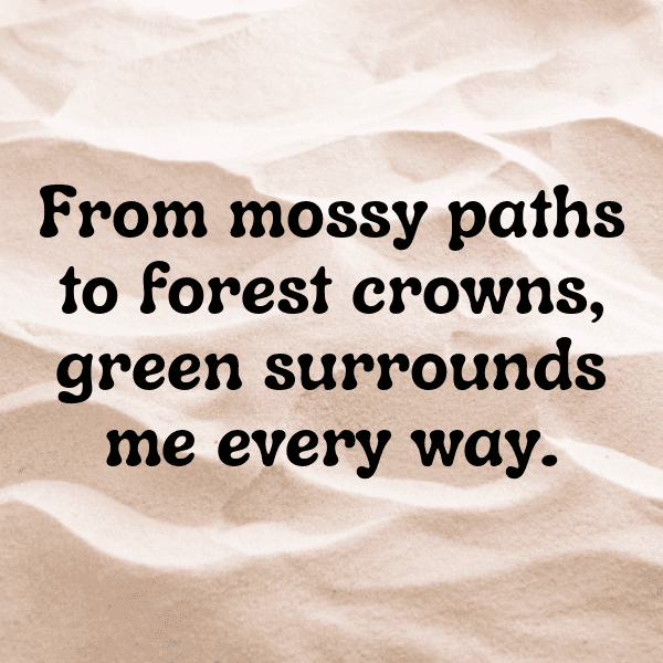 286+ Eruca Captions For Instagram (Trending, Funny & Top) 12 Eruca Captions Photo For Instagram-VWR4tu