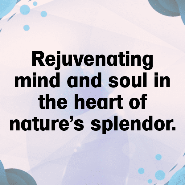 338+ Eswatini Captions For Instagram (Trending, Funny & Top) 5 Eswatini Captions Image For Instagram-kEAJ3X