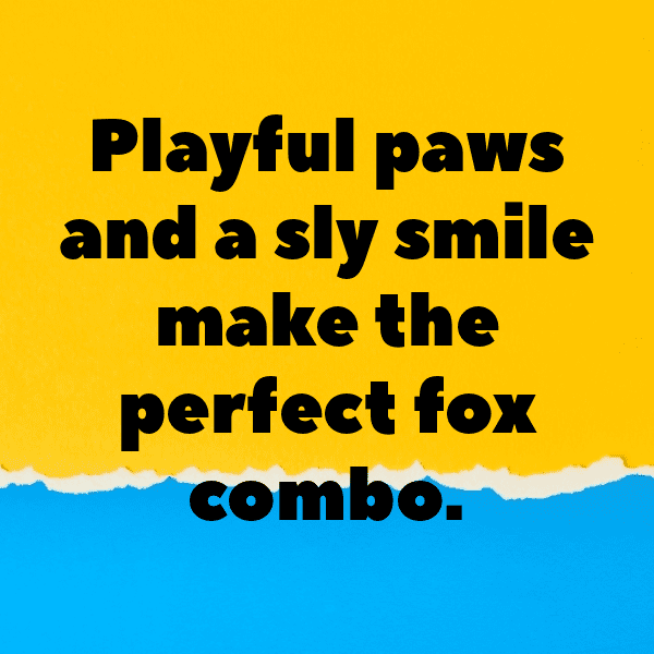 Falcon Captions Image For Instagram-Jxafa4