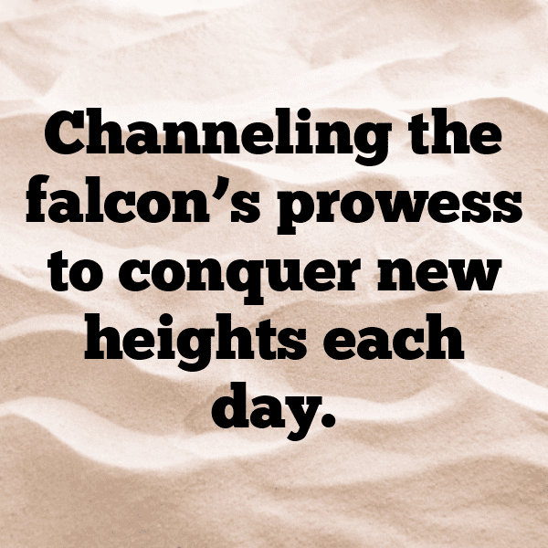 Falcon Captions Photo For Instagram-1RsF0e