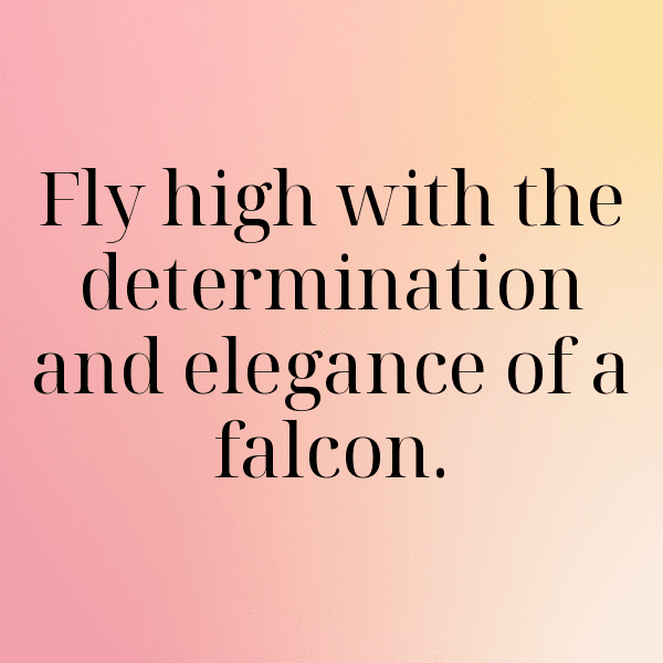 Falcon Captions Photo For Instagram-7DLThl