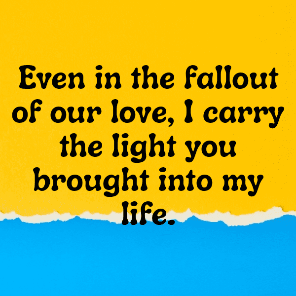 261+ Fallout Captions for Instagram (Trending, Funny & Top) 7 Fallout Captions Photo for Instagram-nyFpqz