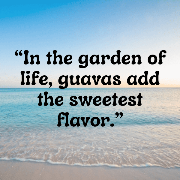 217+ Feijoa Captions For Instagram In 2025 9 Feijoa Captions Image For Instagram-OnKDrH