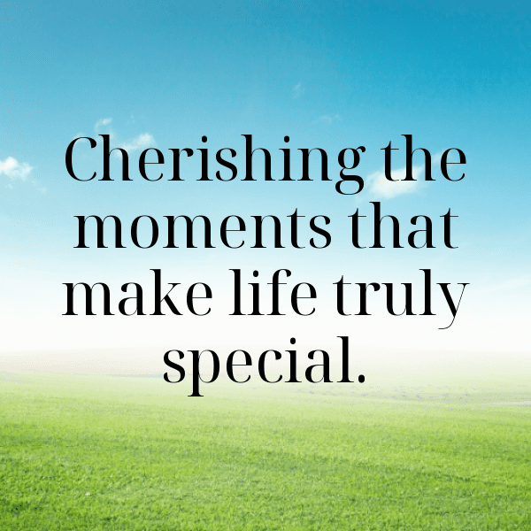 253+ Fencing Captions for Instagram In 2025 11 Fencing Captions Image for Instagram-y8q2wA