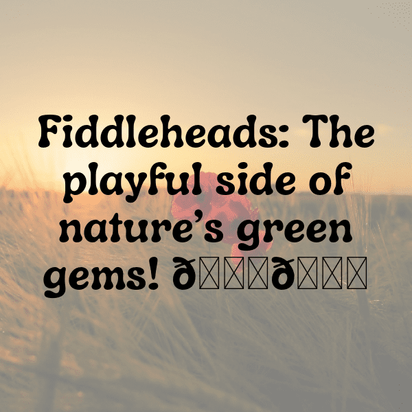 Fiddlehead Fern Captions Image For Instagram-HZzAqN