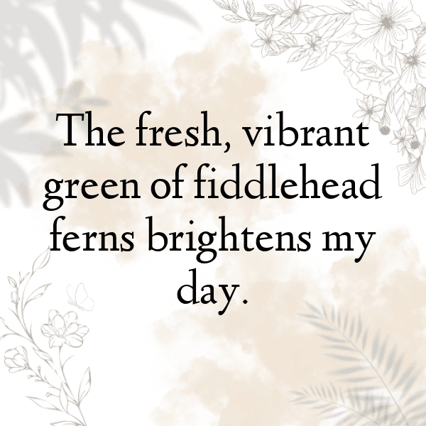Fiddlehead Fern Captions Photo For Instagram-o2Ct3w