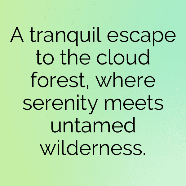 296+ Field of Dreams Captions for Instagram (Fresh & Trendy) 13 Field of Dreams Captions Image for Instagram-gq4ixt