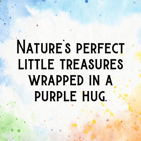 276+ Fig Captions For Instagram In 2025 11 Fig Captions Image For Instagram-0MAo7S