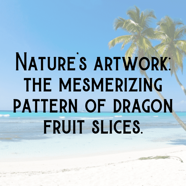 276+ Fig Captions For Instagram In 2025 3 Fig Captions Image For Instagram-6VYihL