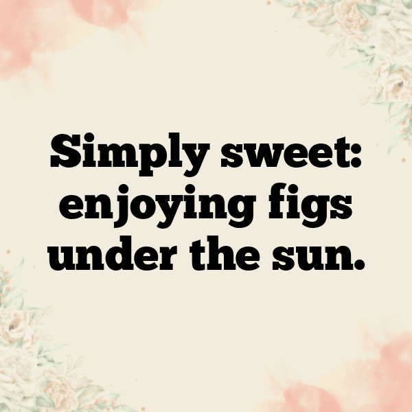 276+ Fig Captions For Instagram In 2025 9 Fig Captions Image For Instagram-BnKAnA