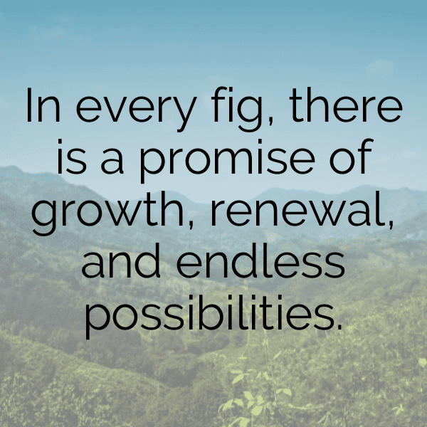 276+ Fig Captions For Instagram In 2025 5 Fig Captions Image For Instagram-VXLyQG