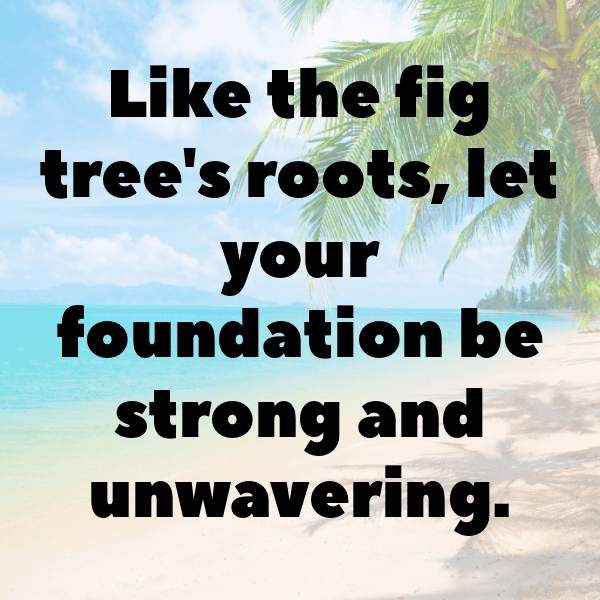 276+ Fig Captions For Instagram In 2025 8 Fig Captions Photo For Instagram-seoEcY