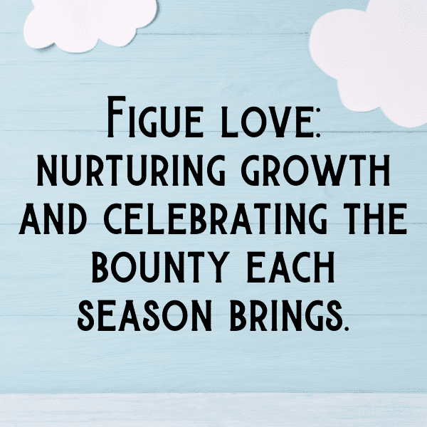 276+ Fig Captions For Instagram In 2025 13 Fig Captions Photo For Instagram-vuGjOy