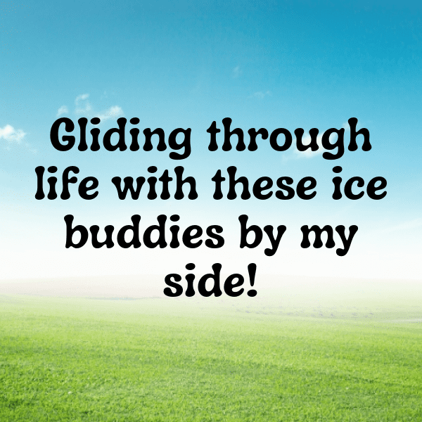 216+ Figure Skating Captions for Instagram (Short, Trending & Viral) 6 Figure Skating Captions Photo for Instagram-006ato